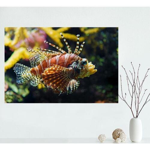 Nice Lionfish Canvas Poster Bedroom Home Decoration Wall Poster Art Print Silk Fabric Gift For Friend 50x75CM,60x90CM
