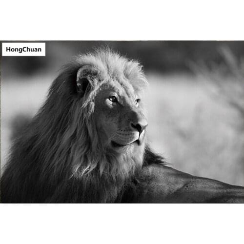 New product lion king animal canvas art square round diamond painting cross stitch mosaic home decoration mural new year gift