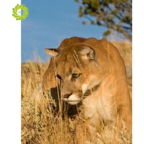 DIY full round diamond embroidery Animal 5D diamond mosaic painting modern flower cross stitch rhinestone painting