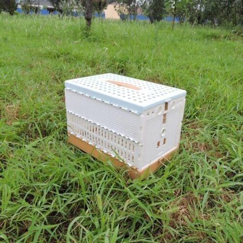 Chicken Cage Pigeon Dove Bird Cage Nipple Water Drinkings Parrot Rabbit Cage Breeding Poultry Plastic Cage