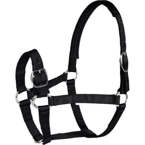 Adjustable Equestrian Western Horse Halter Fits 4.3ft - 5.4ft Horse Black/Blue/Red