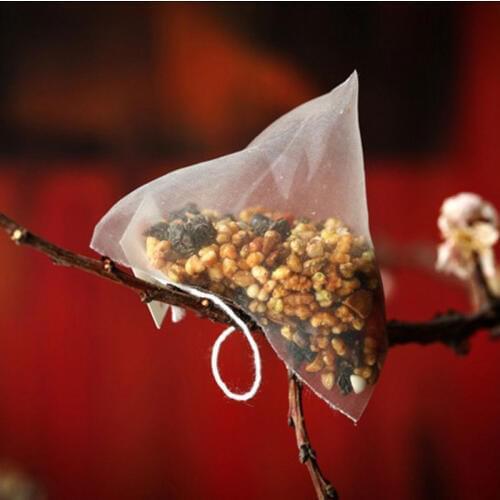 1000pcs/lot Nylon Pyramid Tea Filters Tea Bags Bag Single string with label Transparent Empty Teabags 5.6*7cm Can Customize Logo