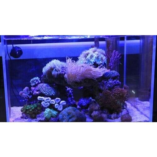 100pcs 10W Royal Blue 445nm Square High Power LED Light chip 1000mA 10-13V