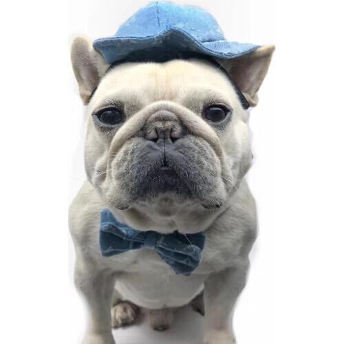 Pet Dog Caps Small Puppy Pets Summer Print Cap Dog Baseball Visor Hat Outdoor Accessories Sun Bonnet Cap Chihuahua C101