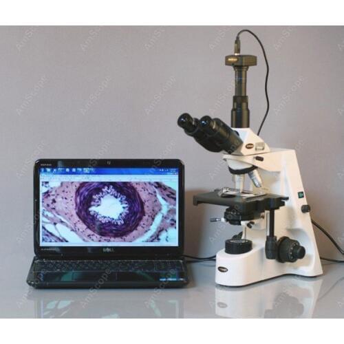 Darkfield Microscope-AmScope Supplies 40X-2500X Professional Infinity Plan Kohler Trinocular Darkfield Microscope