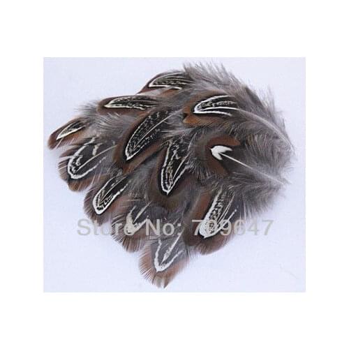 100Pcs/lot 4-8cm Pretty Nature Ringneck Pheasant Almond Plumage Feathers,Loose Ringneck Pheasant Feathers,feathers for crafts