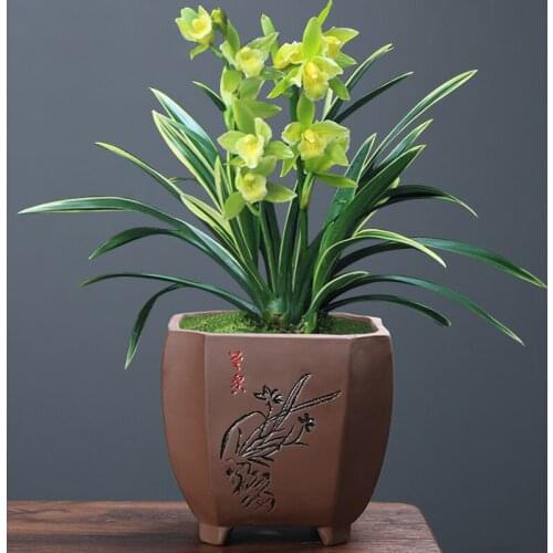 Purple Sand Flowerpot Styles Are Various Succulent Bonsai Potted Plants