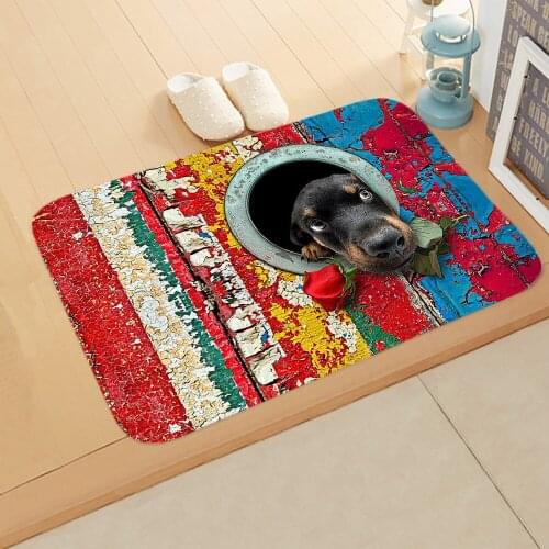 3D Animal Dog Print Door Mat Bathroom Anti-slip Absorb Water Bath Cover Bathroom Kitchen Floor Carpet Entrance Floor 40*60cm Rug