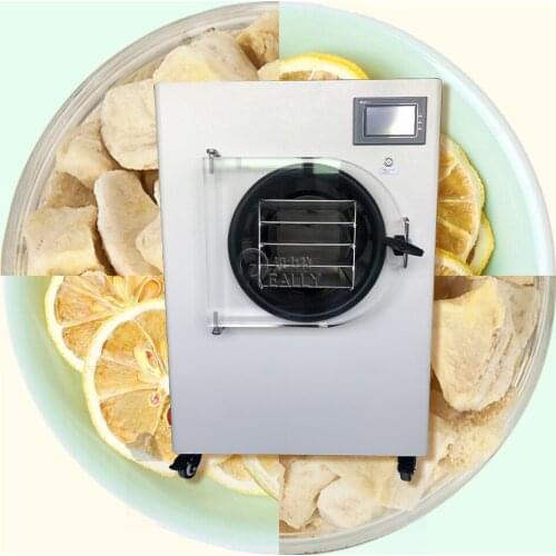 New Arrival Dehydrator Household Vacuum Freeze Dryer Machine Multifunctional Lyophilizer for Vegetables Fruit Meat and Pet Food