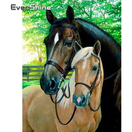 EverShine DIY 5D Diamond Painting Full Square Horse Cross Stitch Diamond Embroidery Animals Rhinestones Art Home Decoration