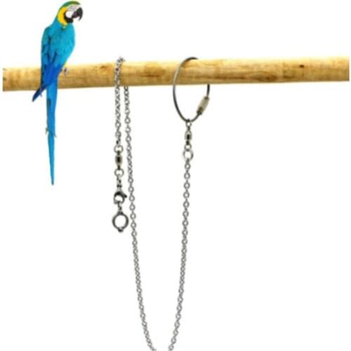 Parrot Stainless Steel Foot Ring Chain Pet Stand Training Accessories
