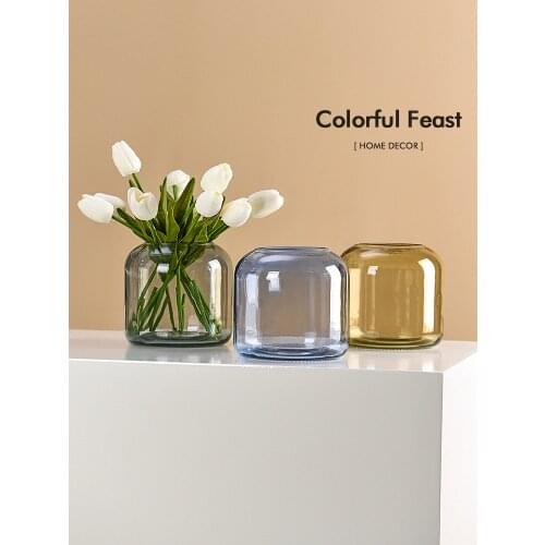 Nordic Glass Vase Creative Living Room Dining Table Hydroponic Flower Arrangement Container Dry Flower Vases Home Decoration
