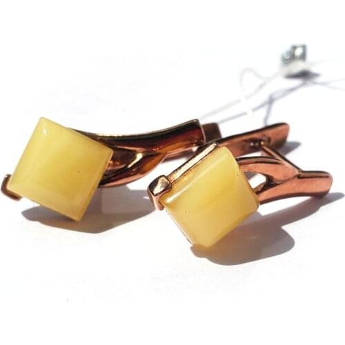Янтарная Лагуна (Калининград) Earrings
