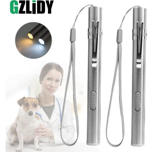 USB Rechargeable LED Flashlight Cold White + Warm White Light Pen Lights MINI Torch Portable Lantern Suit for Camping, Doctors