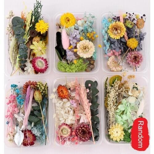 Pressed Flower Mixed Dried Flowers Material DIY Art Floral Decors Collection Gift Craft DIY Home Decoration J2Y
