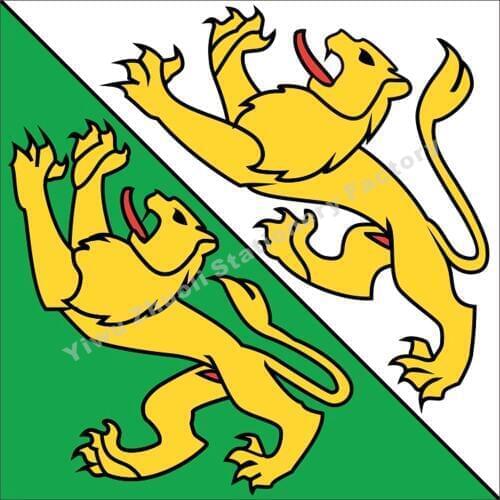 Switzerland Thurgau Flag 120X120cm (4x4FT) 120g 100D Polyester Double Stitched High Quality Banner Free Shipping
