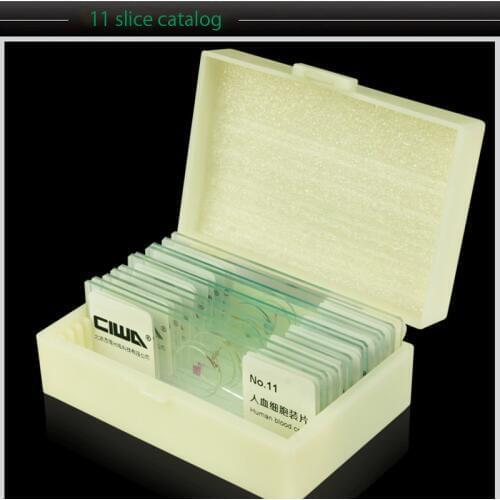 CIWA HD Microscope Biological 11 Specimen Slices Plant animal samples Slice for Students hd science Plant cell experiment slices