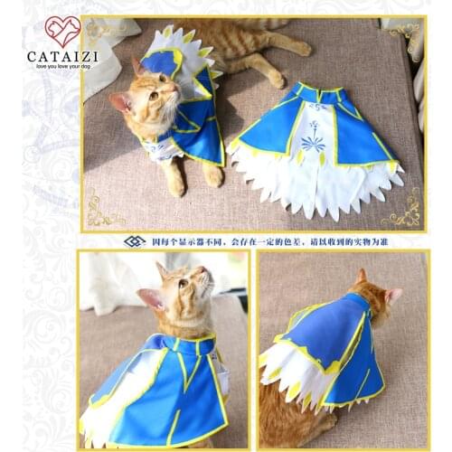 Fate Grand Order Altria Pendragon Saber Cosplay Cartoon Cat Dog Cape Cloak Pet Clothes Fashion Warm Pet Clothing Accessory