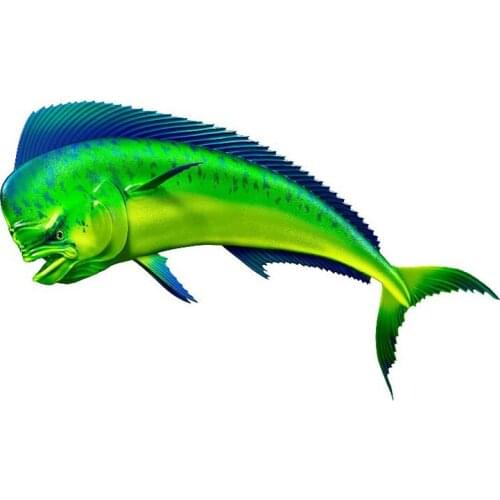 Dawasaru Coryphaena Hippurus Car Sticker Waterproof Personalized Decal Truck Motorcycle Auto Accessories Decoration PVC,15cm*9cm