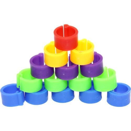 200 Pcs 8 MM Birds Pigeon Foot Ring Color Identification Ring Opening Pigeon Foot Ring Pigeon Supplies Bird Tools