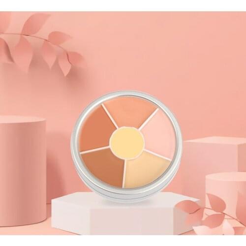 6 Colors Full Coverage Concealer Palette Professional Waterproof Concealer Face Makeup Cosmetics Custom Private Label