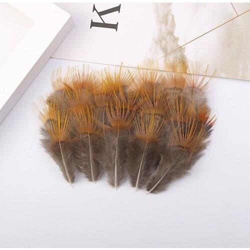 50 Pcs/Lot Natural Rooster 5-8CM Pheasant Feather Small feather for Diy Crafts Jewelry Making Plumes Accessories Wholesale