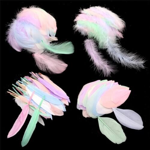 Natural Goose Feathers 4-20cm Mix Color Feather Colourful Swan Feather Plume for Craft Wedding Jewelry Home Decoration Plumes