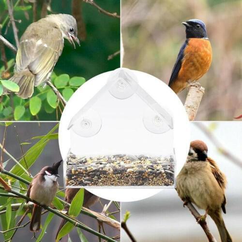 Acrylic Transparent Bird Squirrel Feeder Tray Birdhouse Window Suction Cup Tools Parrot Lovebird Canary Food Pigeon Pet Supplies