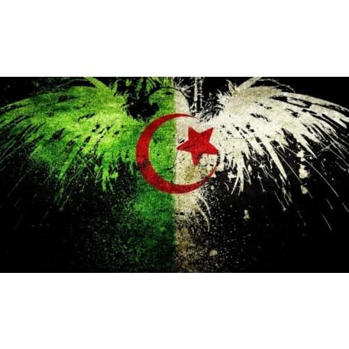 3x5ft Algeria Flag With Grommets custom activity with bird banner flag