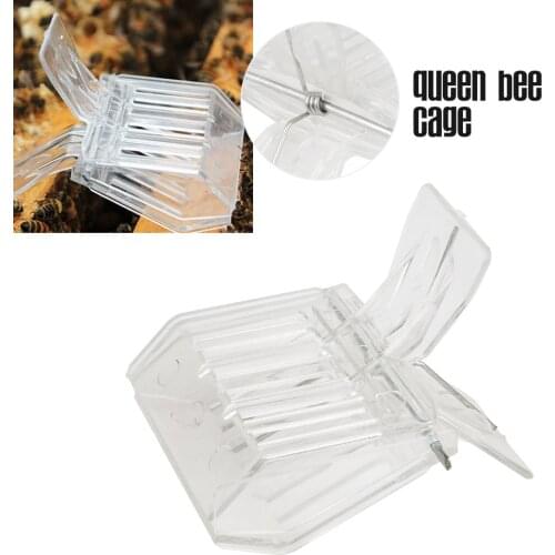 Beeekping Bee Queen Catcher Colorless Clear Plastic Clip Cage Goods Tools For Beekeeper Supplies