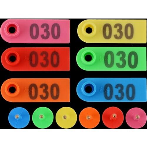 Laser Sheep Ear Tag Signage With The Word Label Brand 6 Colors Copper Head Earrings Farm Animal Livestock Identification Tool