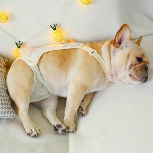 Washable Pet Physiological Pant Female Dog Shorts Panties Diaper Menstruation Underwear Strap Briefs Jumpsuit Pet Supplies