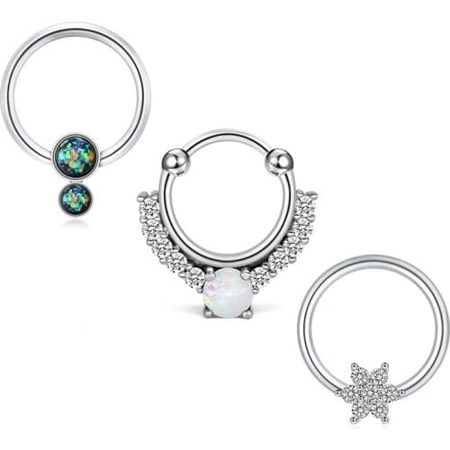 16G Septum Clicker Nose Rings Hoop Hinged Segment Helix Daith Tragus Cartilage Earrings Lip Piercings Septum for Women Men