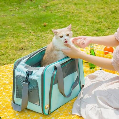 Cat Carrier Bags Breathable Holes Foldable Pet Travel Carrier Backpack For Cats And Small Dogs Double door Bag