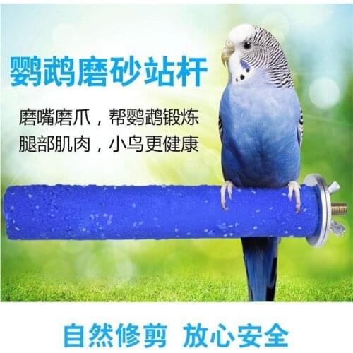 Parrot Toys Pet Bird Accessories Best Selling 2019 Products Pet Bird Cage Perches Stand Platform Paw Grinding Bites Toy 96