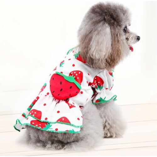 Fashion Pet Dog Clothes for Dog Dresses Cute Princess Cat Dress For Small Dogs Chihuahua Puppy Skirt Watermelon Kitten Dresses