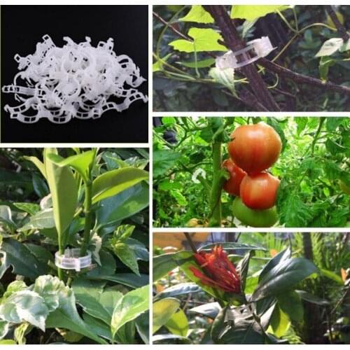 200Pcs Plastic Plant Support Clips for Garden Tomato Hanging Trellis Vegetable Vine Connects Greenhouse Veggie Garden Plant Clip