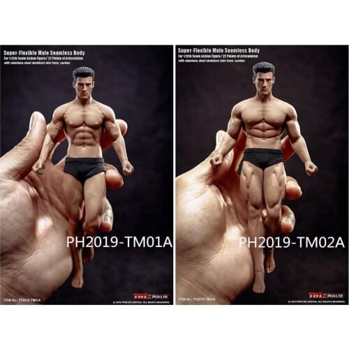 TBLeague TM01A/TM02A Phicen Male Seamless Muscular Body w/ Head 1/12 FIGURE