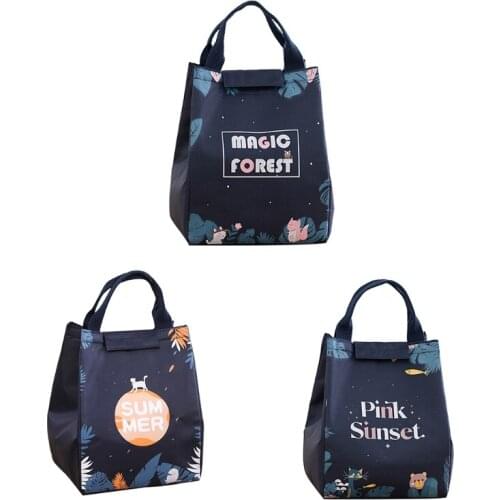 Cute Insulated Lunch Tote Bag Reusable Thermal Lunch Containers Waterproof Lunch Organizer Aluminum Film Fashion Durable