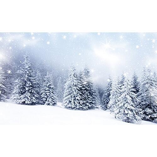 5x7ft Schnee Wald Kulisse Weihnachtsbaum Weiß Schnee Winter Hintergrund