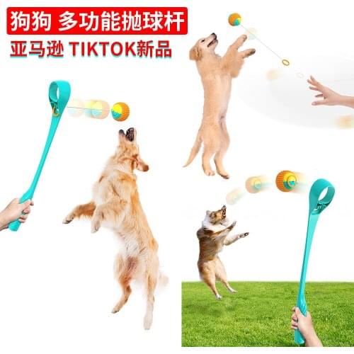 Pet Tossing Cue And Dog Training Toy Ball Tossing Device Outdoor Tennis Training Toy Toy Pet Throwing Stick With Tennis Ball