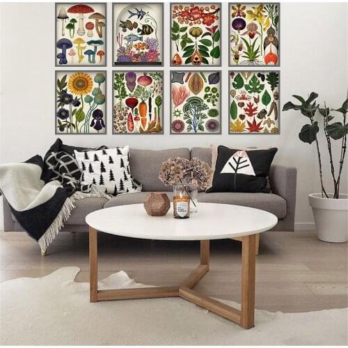 Fine Botanical Educational Poster Mushrooms Champignons Identification Chart Diagram Illustration Wall Art On Canvas Painting