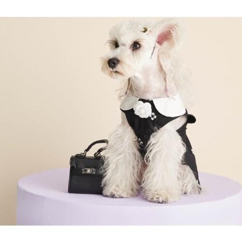Cool Clothing For Small Medium Fashion Pet Dog Princess Dress Summer Skirt Clothes Puppy Dogs Schnauzer Pomeranian Yorkie