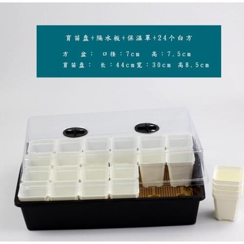 Fleshy Leaf Transplanting Seedling Tray Thickened Small Square Basin Combined7cm