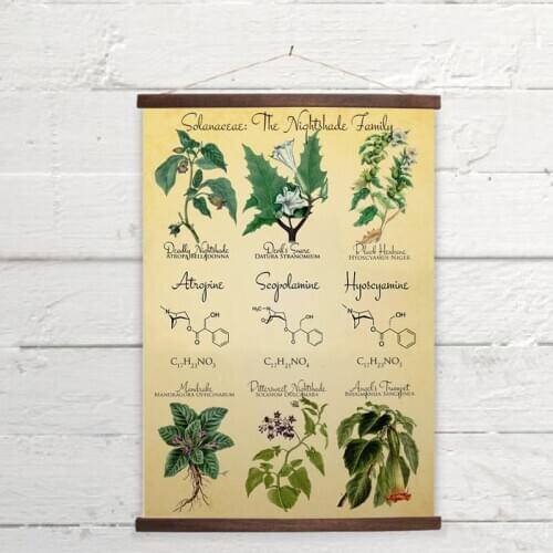 Vintage Botanical Poster Prints Deadly Nightshade Retro Halloween Decoration Painting Witchcraft Apothecary Herbs Canvas Picture