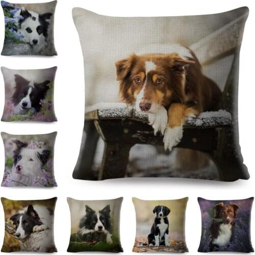 Animal Dog Pillowcase Decor Cute Pet Scotland Border Collie Printed Cushion Cover for Sofa Home Car Polyester Pillow Case 45*45