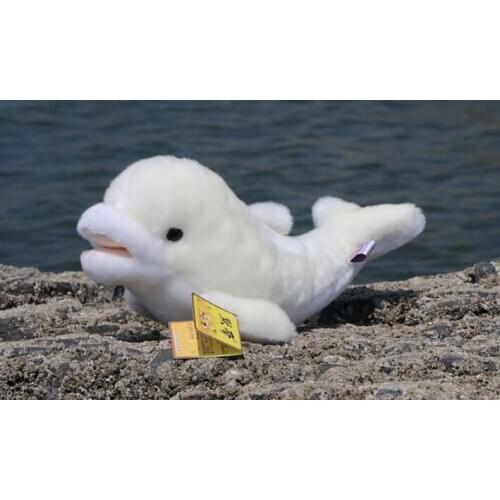 Marine animal cute dolphin plush toy about 40cm birthday gift w0988