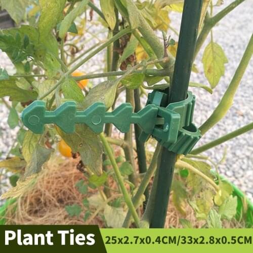 10PCS Tree Ties Straps PE Thickening Adjustable Interlock Plant Support Fishbone Type Self-locking Ties For Shrub Rose Tree
