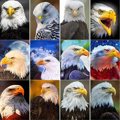 New DIY 5D Diamond Painting Mosaic Art Gift Bald Eagle Diamond Embroidery Animal Cross Stitch Full Square Round Drill Home Decor