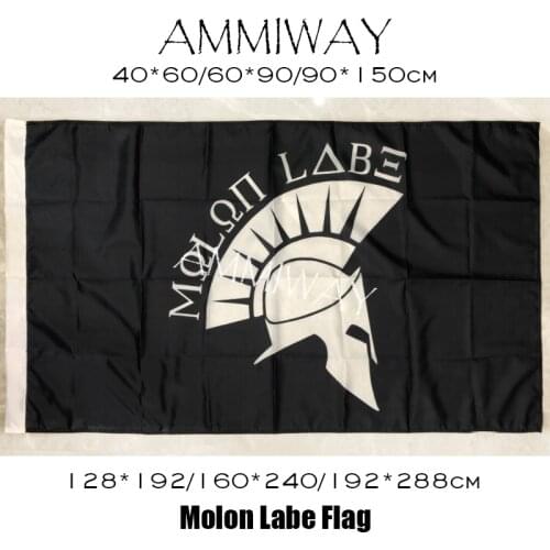 AMMIWAY Any Size Greek Spartan Come and Take It Molon Labe Flag Single or Double Sided Printed Large Flags and Banners